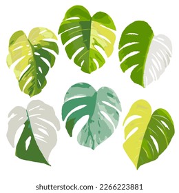 Tropical leaves vector. Watercolor hand painted leaf isolated on white background.