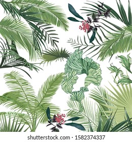 tropical leaves white background pattern