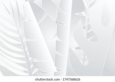 Tropical leaves in white and gray shades, summer background, vector image