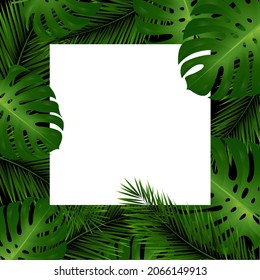 Tropical Leaves And White Paper Banner, Vector Illustration