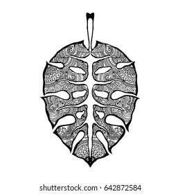 Tropical leaves zentangle stylized, vector illustration, hand drawn pencil. Lace. Zen art for coloring page for adult