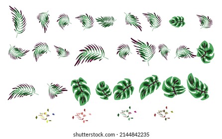 Tropical leaves.A set for your design. vector illustration.Isolated on a white background.eps10. print
