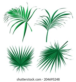 Tropical leaves,elements in vector