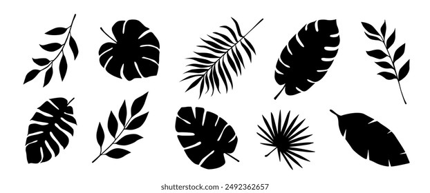  Tropical leaves.Tropical exotic leaves and branches. Collection black leaves. Nature leaves. Vector illustration.