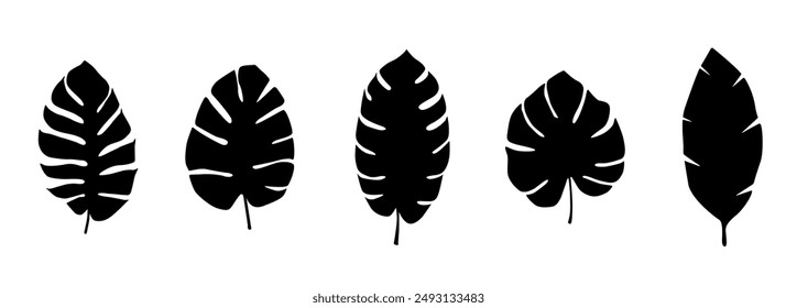 Tropical leaves.Tropical exotic leaves and branches. Collection black leaves. Nature leaves. Vector illustration.