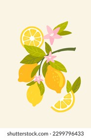 Tropical lemon fruit. Poster or banner for website. Natural and organic product. Symbol of summer in tropical and exotic countries. Whole and slice of citrus. Cartoon flat vector illustration