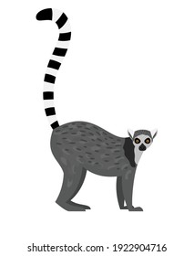 Tropical lemur. Cartoon funny monkey, slothful cute animal, vector illustration of lazy furry exotic character of madagaskar isolated on white background