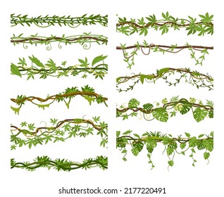 Tropical liana branches cartoon borders, creepers seamless dividers. Jungle hanging roots vegetated green foliage and flowers vector illustration set. Rainforest garden liana plants