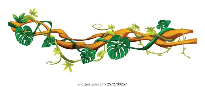 Tropical liana branches with exotic  vines, monstera leaves and hanging tendrils. Vector cartoon illustration