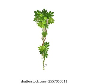 Tropical liana vine, vertical branch of jungle rainforest ivy with leaves, cartoon vector. Tropical liana or creeping jungle tree and bindweed plant with curly tendrils and rainforest monstera leaves