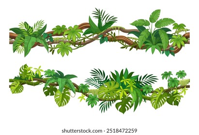 Tropical liana vines and ivy branches with monstera and jungle plant leaves, cartoon vector. Tropical rainforest creeping liana or bindweed tree with climbing branches and hedera tendrils for frame