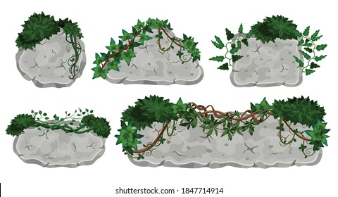 Tropical lianas stone boards set with isolated images of signboards made of rocks with vine leaves vector illustration