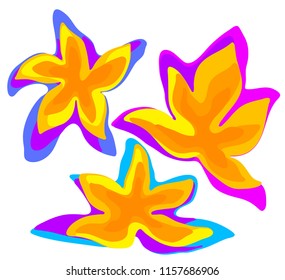 Tropical lilies vector graphics