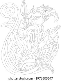 Tropical Lillies illustration for adult botanical coloring or ornament