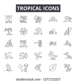 Tropical line icons, signs set, vector. Tropical outline concept, illustration: tropical,summer,palm,depineapple,nature