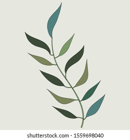tropical line leaf on light green background vector illustration  