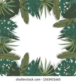 tropical line leaves frame background vector illustration hand draw desing
