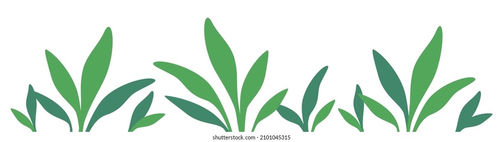 Tropical lush green plants vector