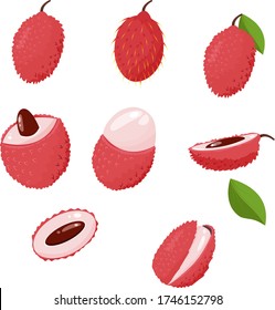 
tropical lychee fruit bright windy illustration