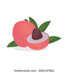 Tropical lychee fruit, color isolated vector illustration