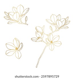 Tropical magnolia flowers branch. Beautiful golden line illustration.