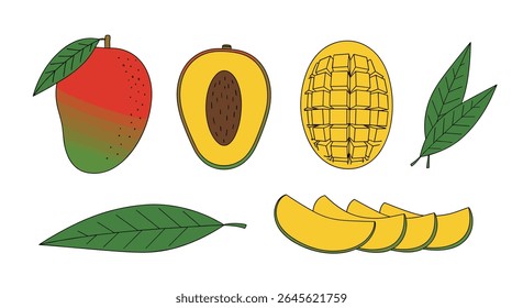 Tropical Mango Fruit Collection with Leaves and Slices