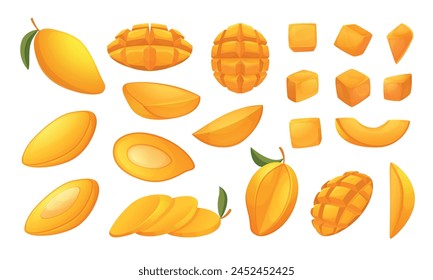 Tropical mango. Sliced exotic juicy fruits exact vector mango collections pictures in cartoon style