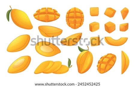 Tropical mango. Sliced exotic juicy fruits exact vector mango collections pictures in cartoon style