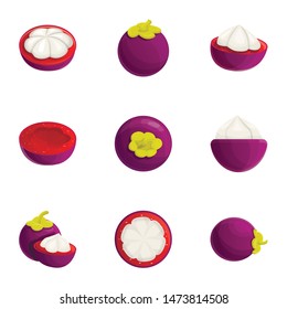 Tropical mangosteen icon set. Cartoon set of 9 tropical mangosteen vector icons for web design isolated on white background