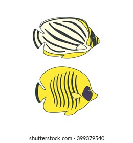 Tropical marine fishes. Butterflyfishes. Bannerfish and Coralfish. Blue-cheeked butterflyfish and Scrawled Butterflyfish. Vector illustration. Isolated on a white background.