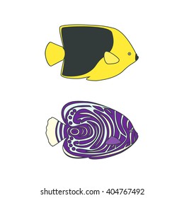 Tropical marine fishes. Emperor angelfish and Rock beauty. Vector illustration. Isolated on a white backgroud.