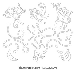 Tropical maze for children. Preschool exotic activity. Funny back and white jungle puzzle with cute monkeys and fruit. Whose banana game. Fun coloring page for kids