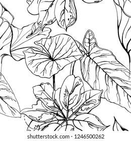 Tropical, modern motif. Black and white summer jungle leaf on white background. Trending contrast Monochrome seamless pattern. Flowers vector endless repeat. Summer Floral nature print sketch.