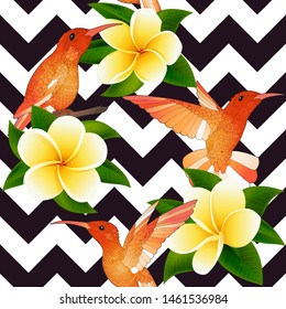 Tropical modern seamless pattern with Small Hummingbirds and plumeria flowers on geometry background. Exotic background design for web page backgrounds, fabric, wallpaper or textile