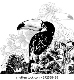Tropical monochrome background with exotic flowers and Toucan 