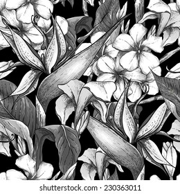 Tropical monochrome seamless pattern with exotic flowers. Bird of Paradise