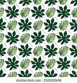 tropical monstera aralia on white background Seamless Pattern Design