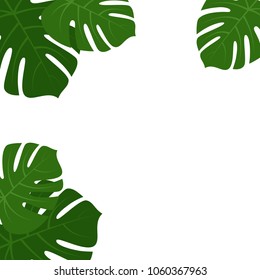 Tropical monstera green leaves frame isolated on white background. Vector illustration