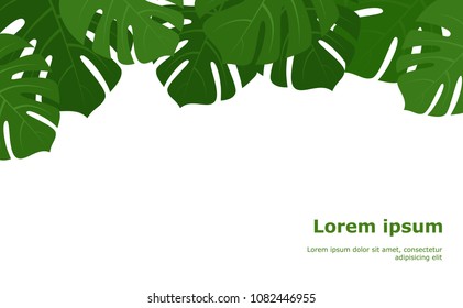 Tropical monstera green leaves frame isolated on white background. Vector illustration