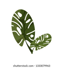 Tropical monstera illustration. Nature, flora, summer. Nature plants concept. Vector illustration can be used for topics like jungle, nature, botany
