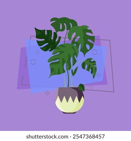 Tropical monstera illustration. Plant, leaf, pot. Home decoration concept. Vector illustration can be used for topics like design, interior, natural decorations