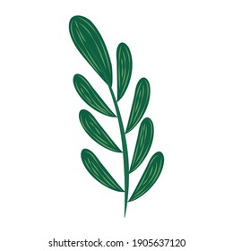 ilustración del icono del estilo abstracto del follaje de la hoja de monstera tropical