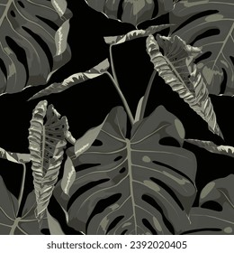 Tropical monstera leaf illustration. Exotic seamless pattern on black background.