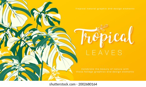 Tropisches Monsterablatt auf gelbem Hintergrund. Exotisches botanisches, Vektorkreativdesign. Die Natur tropisches Grün Blätter grafische Element. Geeignet für Poster, Banner, Kosmetik, Spa. Vektorgrafik
