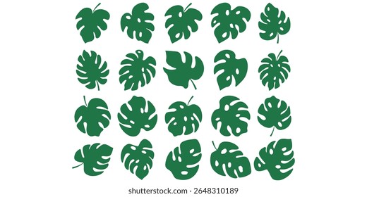 Tropische Monstera Blatt Set Sammlung