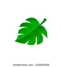 Tropical Monstera leaf in trandy paper cut style. Craft summer jungle plant isolated on white background for package design, T-shirt printing. Vector card illustration in papercutting art style