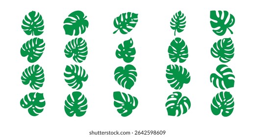 Coleção de Vetores de Folha de Monstera Tropical