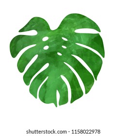 Tropical monstera leaf. Vector illustration. Watercolor textured hand drawn silhouette isolated on white background.
