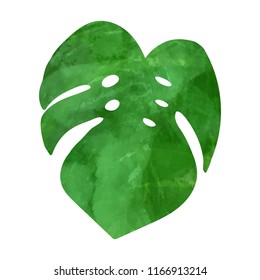 Tropical monstera leaf. Vector illustration. Watercolor textured hand drawn silhouette isolated on white background.