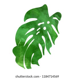 Tropical monstera leaf. Vector illustration. Watercolor textured hand drawn silhouette isolated on white background.